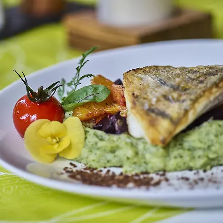 Elbparadies 3* Πίρνα